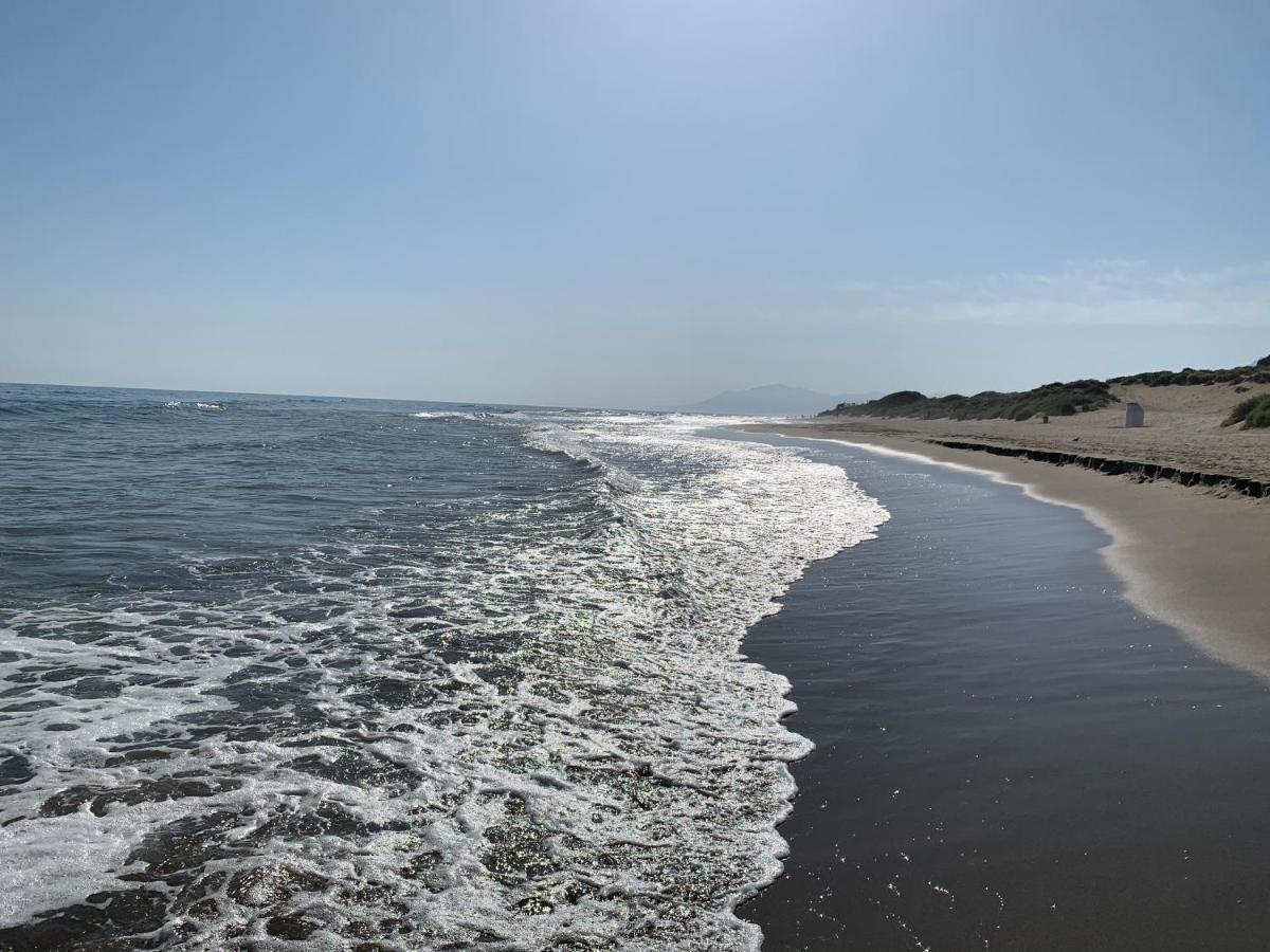 Exclusive Andalusian El Pino In Cabopino Pousada