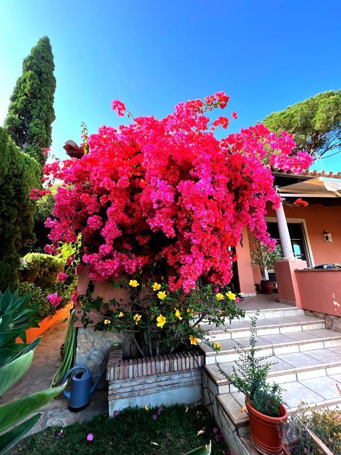 Exclusive Andalusian El Pino In Cabopino Pousada *